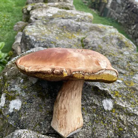 Feriehus L'establou D'aboulin