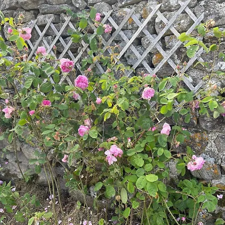 L'establou D'aboulin Feriehus