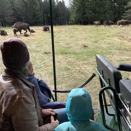 Feriehus L'establou D'aboulin *